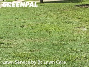 Lawn Cut nearby Wendell, NC, 