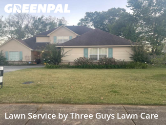 Lawn Upkeep in Olive Branch, 38654, Turf Services by Three Guys Lawn Care, work completed in Nov , 2025