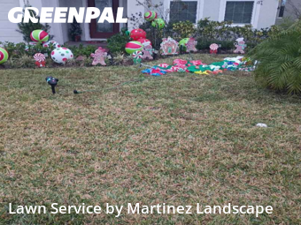 Lawn Mowin Clermont,34714,Lawn Service by Martinez Landscape, work completed in Dec , 2025