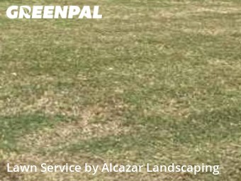 Yard Mowing nearby Irving, TX, 