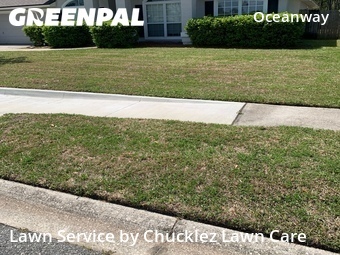 Lawn Cut nearby Jacksonville, FL, 