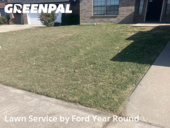 Yard Mowing nearby Lake Worth, TX, 