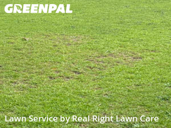 Lawn Care nearby Fayetteville, NC, 