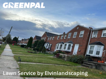 Yard Grooming in Towson, 21286, Garden Trimming by Elvinlandscaping, work completed in Nov , 2025