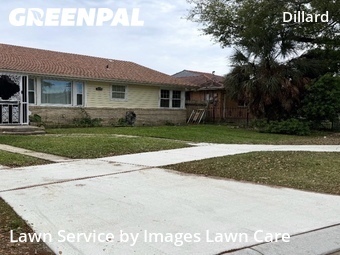 Grass Cut nearby New Orleans, LA, 