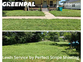 Yard Cutting nearby Springfield, MO, 