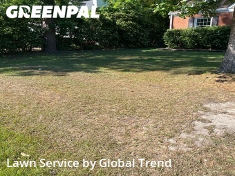 Grass Cut nearby Richmond, VA, 