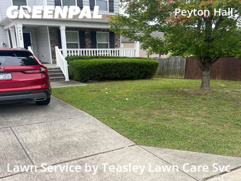 Lawn Maintenance nearby Raleigh, NC, 