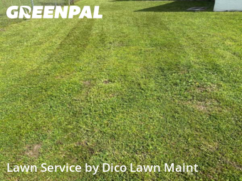 Lawn Care nearby Tampa, FL, 
