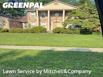 Lawn Mow nearby Shelby Township, MI, 