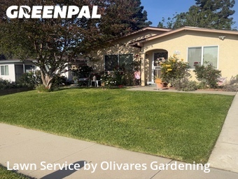Work completed by affordable-landscaping-maintenance-services-in in Simi Valley, CA