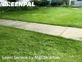 Lawn Cutting nearby Elyria, OH, 