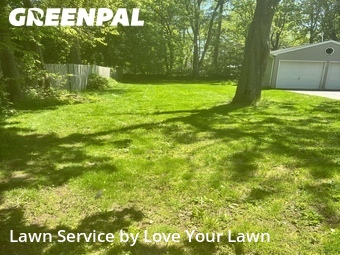Lawn Mow nearby Buffalo, NY, 