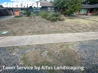 Grass Cutin Richardson,75080,Lawn Care by Alfas Landscaping, work completed in Dec , 2025