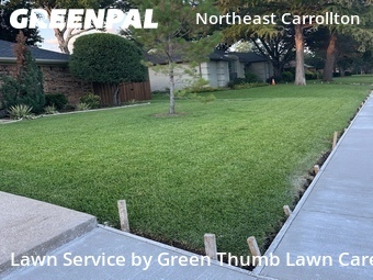 Grass Cutting nearby Carrollton, TX, 