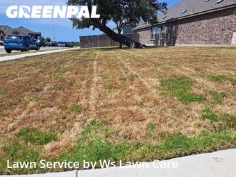 Lawn Mow nearby Cibolo, TX, 