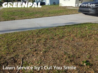 Lawn Mow nearby St. Petersburg, FL, 