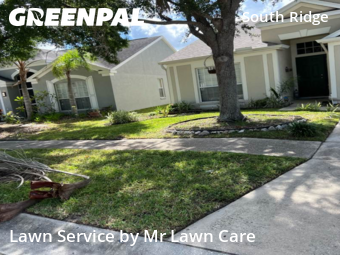 Lawn Mowing nearby Brandon, FL, 