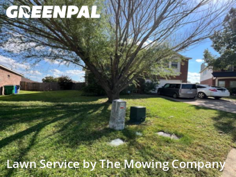 Yard Work in Forney, 75126, Front Yard Mowing by The Mowing Company, work completed in Nov , 2025