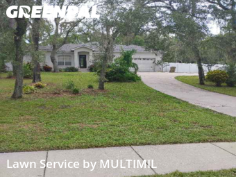 Yard Work in Temple Terrace, 33617, Yard Care by MULTIMIL , work completed in Nov , 2025