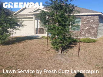 Lawn Cutin Seguin,78155,Lawn Cutting by Fresh Cutz Landscapin, work completed in Dec , 2025