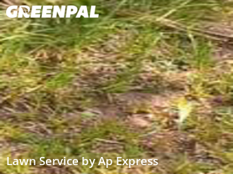 Lawn Mow nearby Bossier City, LA, 