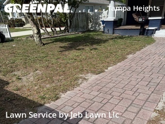 Lawn Cut nearby Tampa, FL, 