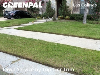 Lawn Mowingin Irving,75063,Lawn Care Service by Top Tier Trim, work completed in Jun , 2026