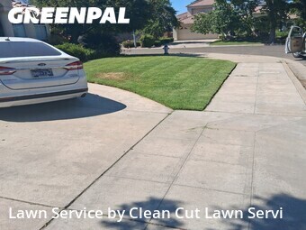 Grass Cut nearby Fresno, CA, 