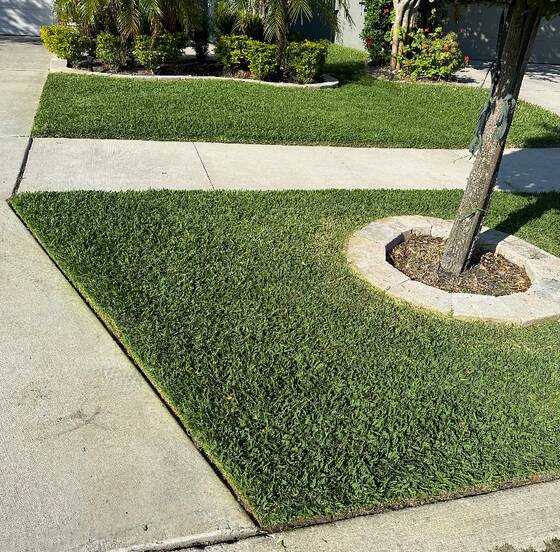 Jaler Llc Lawn Care Services in Parrish, FL