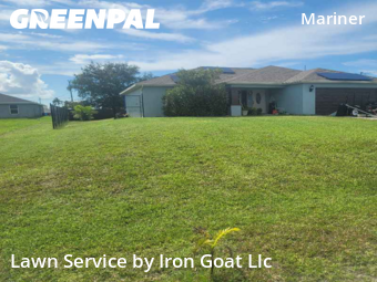 Grass Cut nearby Cape Coral, FL, 