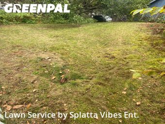Lawn Care nearby Naugatuck, CT, 