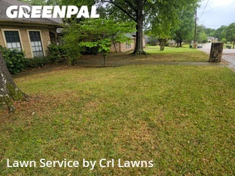 Grass Cut nearby Tyler, TX, 