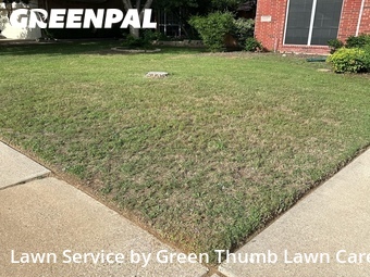 Lawn Maintenance nearby Denton, TX, 