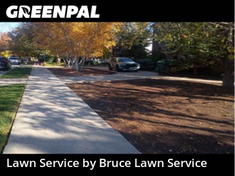 Lawn Care nearby Park Ridge, IL, 