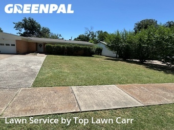 Lawn mowed in Farmers Branch, 75234