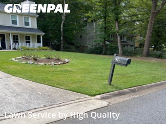 Yard Work in Peachtree City, 30269, Grass Care by High Quality , work completed in Dec , 2025