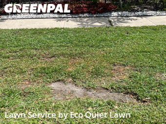 Lawn Maintenance nearby Plantation, FL, 