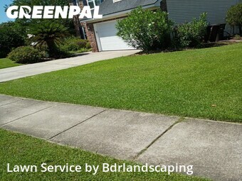 Lawn mowed in Summerville, 29485