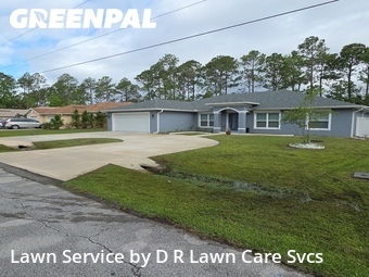 Grass Cutting nearby Palm Coast, FL, 