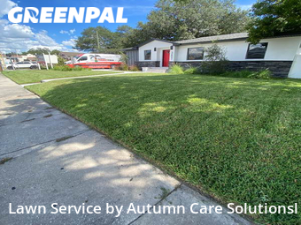 Lawn Mowing nearby Tampa, FL, 