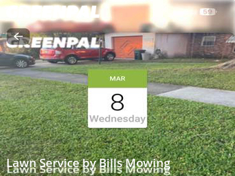 Grass Cut nearby Seminole, FL, 