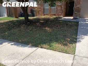 Lawn Care nearby Roanoke, TX, 