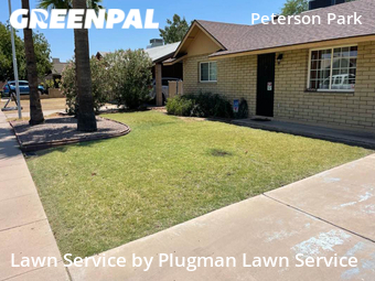 Backyard Landscaping In Tempe,85282,Landscapers by Plugman Lawn Service, work completed in Jun , 2026