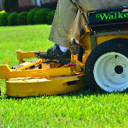the-yard-cutting-businesses-in-Milford-CT