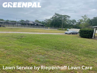 Lawn Cut nearby Lutz, FL, 