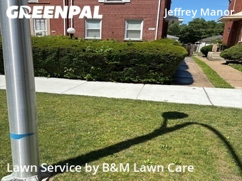 Lawn Mow nearby Chicago, IL, 