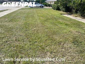 Yard Cutting nearby Lafayette, LA, 