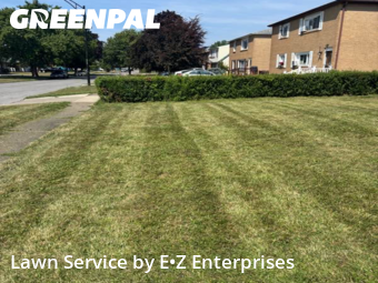 Lawn Mowing Service nearby Buffalo, NY, 