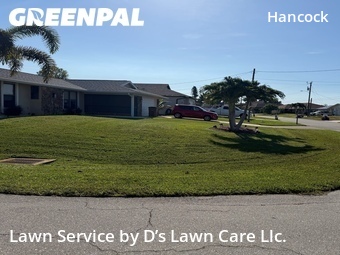 Grass Cut nearby Cape Coral, FL, 